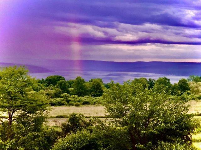A Cayuga Lakefront Inn - Hotel Alt, Ithaca New York Exterior foto